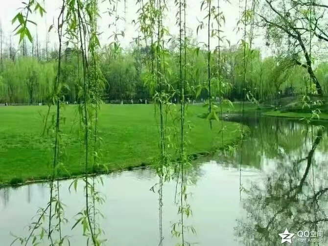 ΢��ͼƬ_20220406190437.jpg