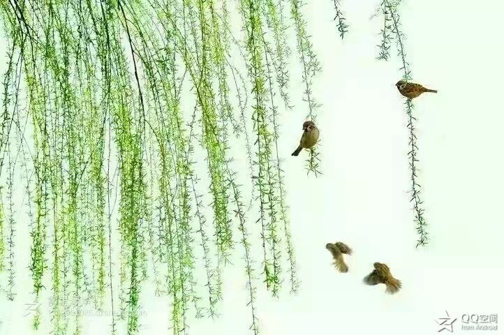 ΢��ͼƬ_20220406190637.jpg