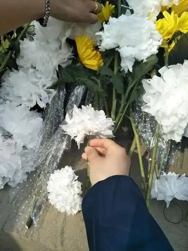 u=2405994569,848688178&fm=253&fmt=auto&app=138&f=JPEG.jpg