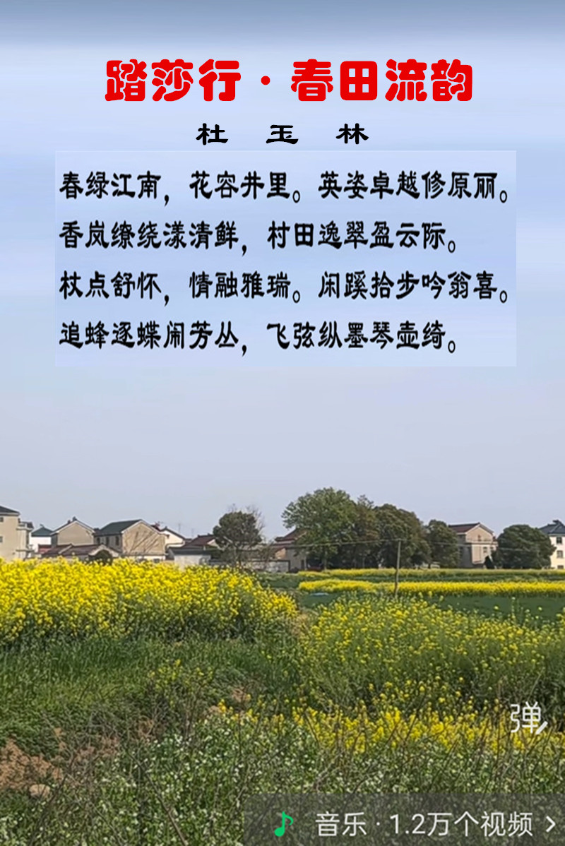 1495̤ɯ�д�������.jpg